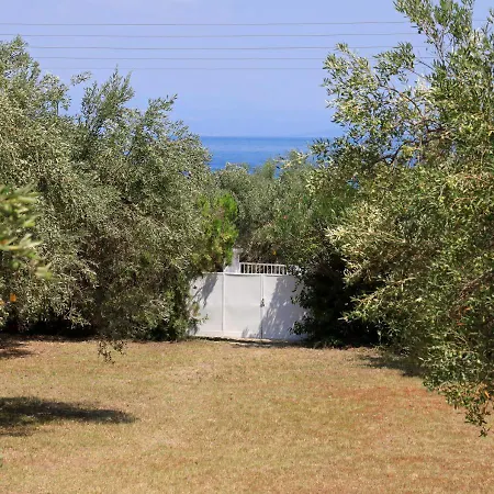 Elea Mare Πολύχρονο